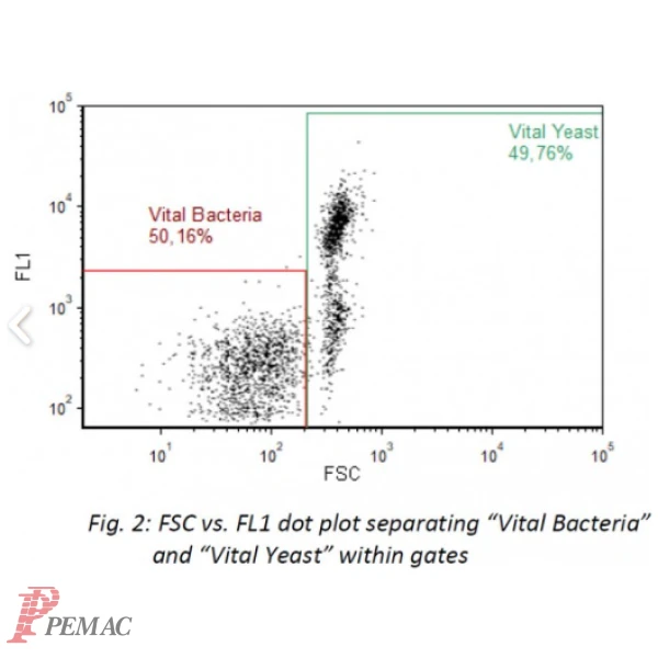 CyStain VitalCount, påvisning av vitale mikroorganismer - Bilde 2